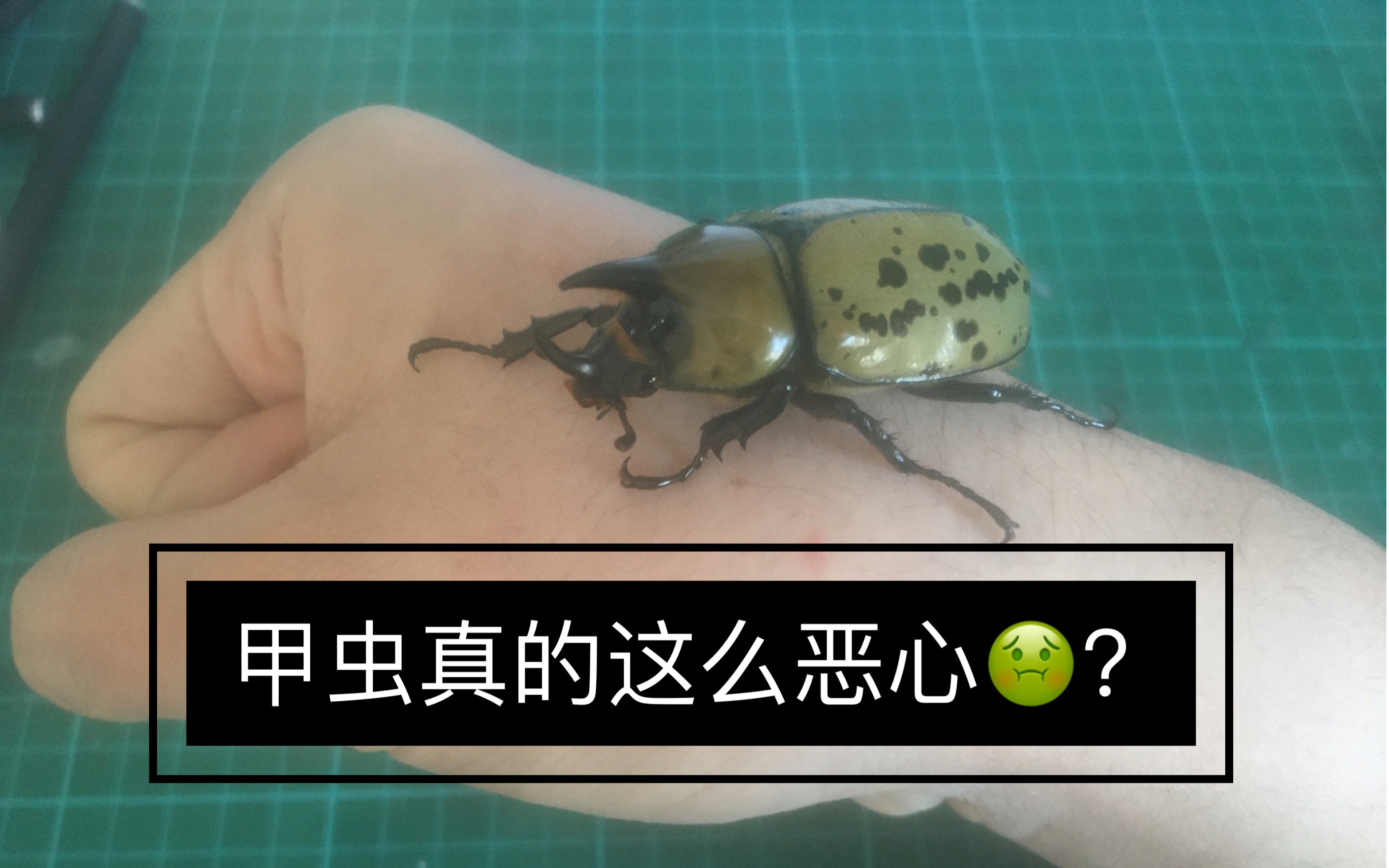 包含@蝨.栞%錌€?F擣>p瀏癯鉡崁???硫I憪╁?xR??噑?€qt7?_W宄N磱劐5躌9茟J?,!潰$蟆u魱q塭5?!經?&amp;郵Z彗%鞺l鼀A?	溙y荶a輏L賁bk??\?帙萤+?d僙A?S?mk/瑸i@~c拶姬q縐C>"Vシb孎?媊20??qL~B橐?蠃裦#孉Hy佽5>wp?嫩蹯-爱游戏APP